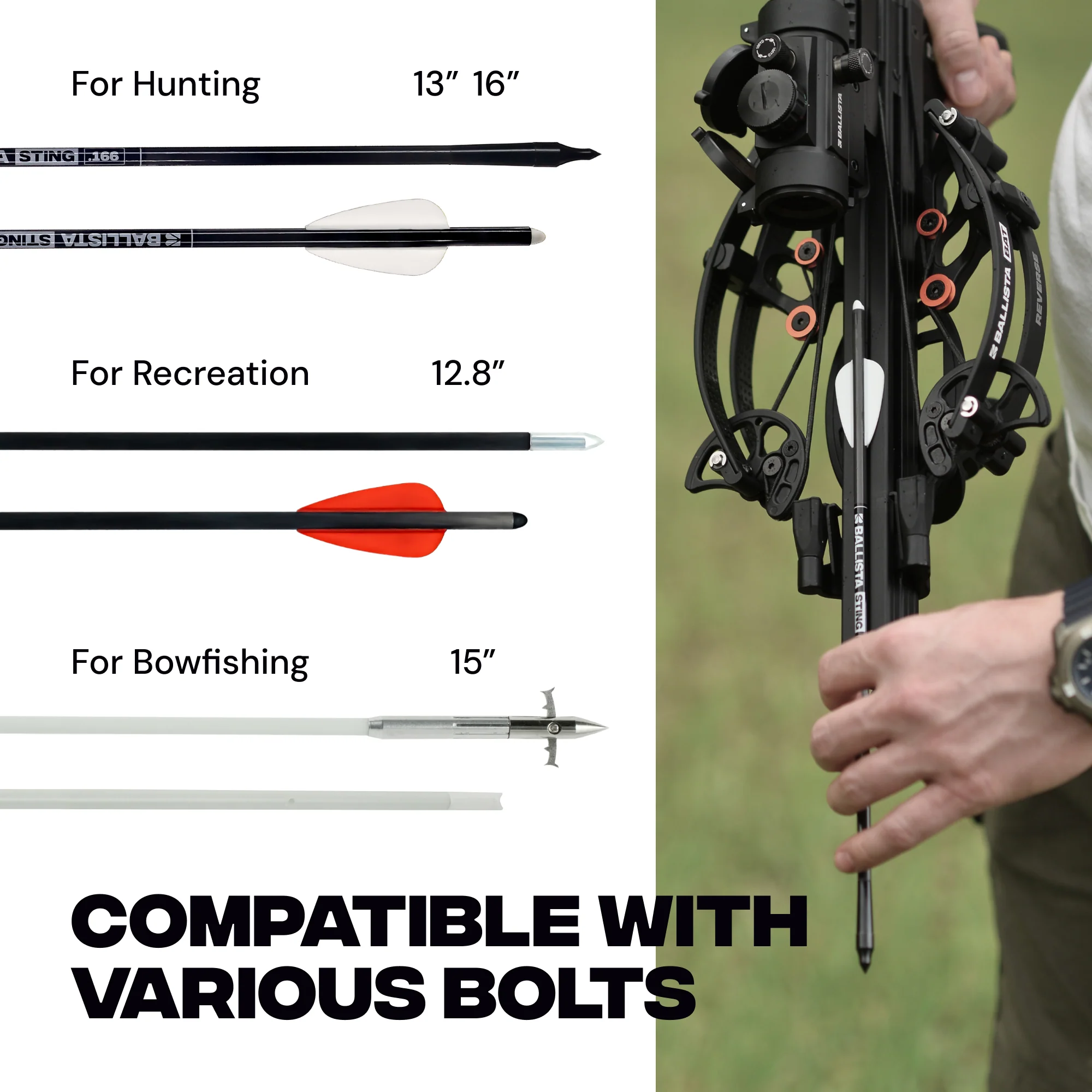 BAT Reverse Draw Compound Crossbow with L-Stock - Refurbished - Image 8