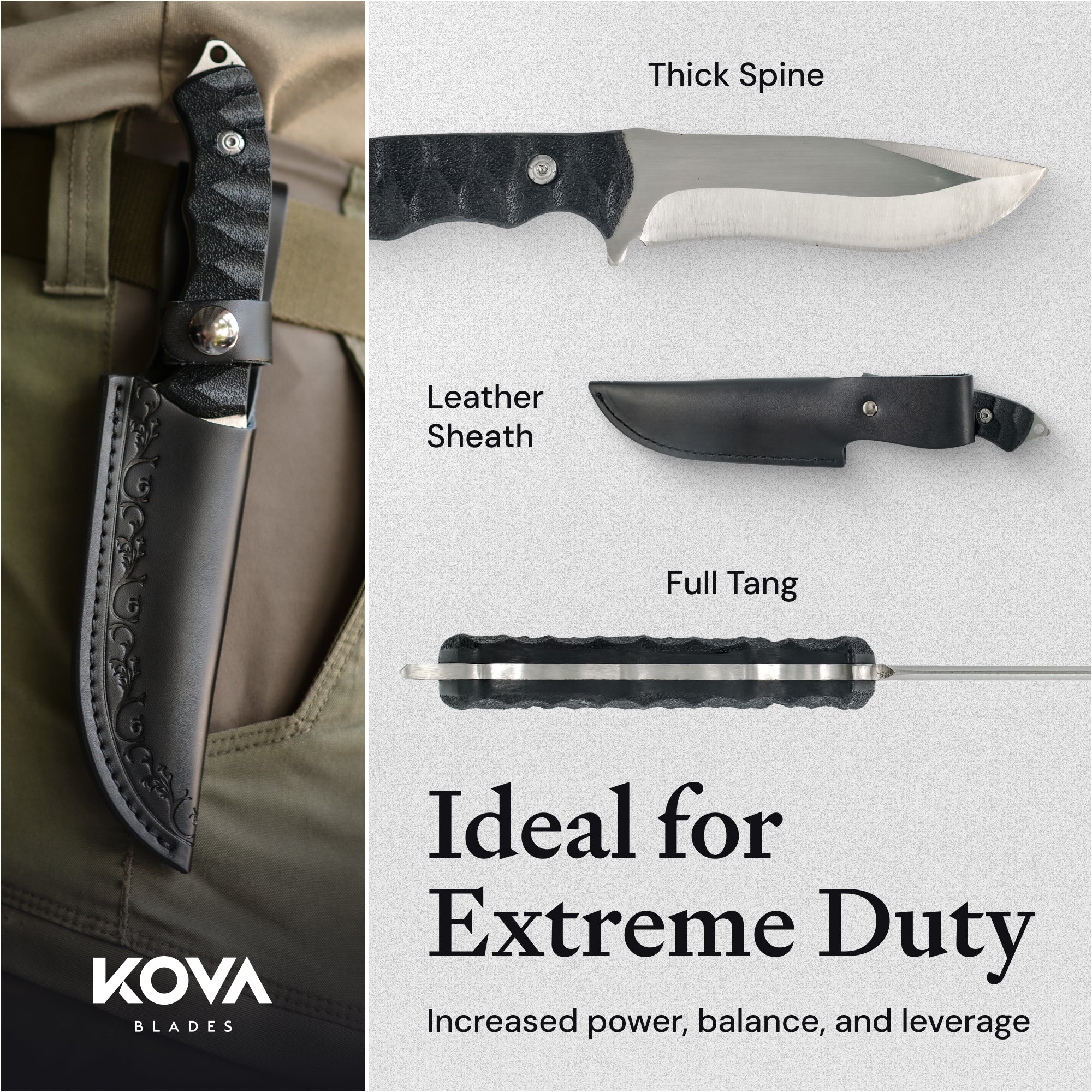 Eclipse - Image 7