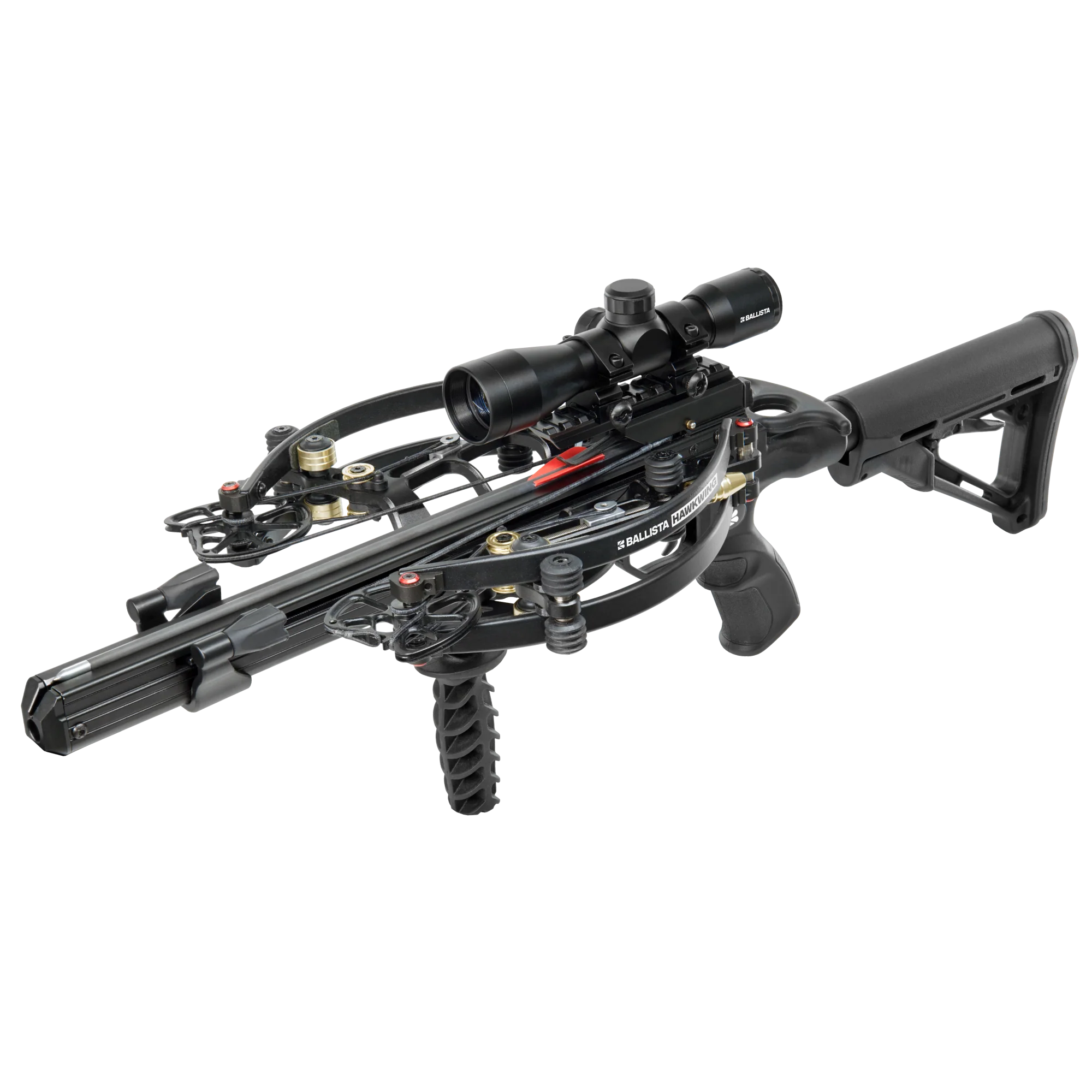 Hawkwing