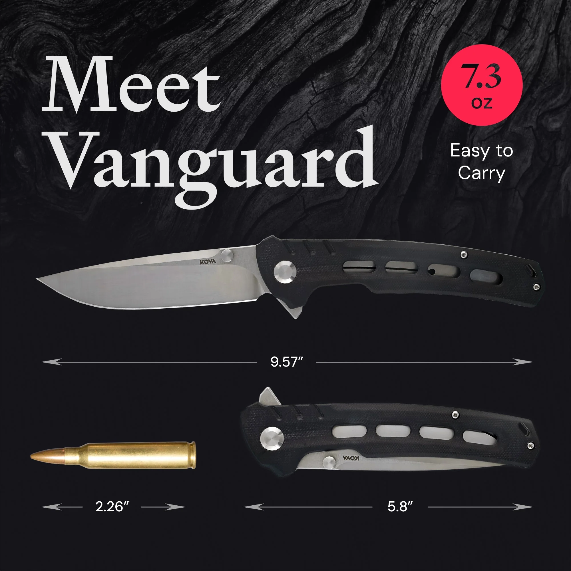Vanguard - Image 4